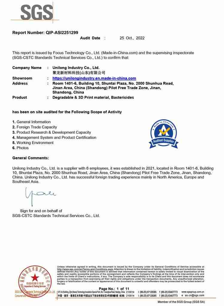 Audit Report Sample(Rev.3)